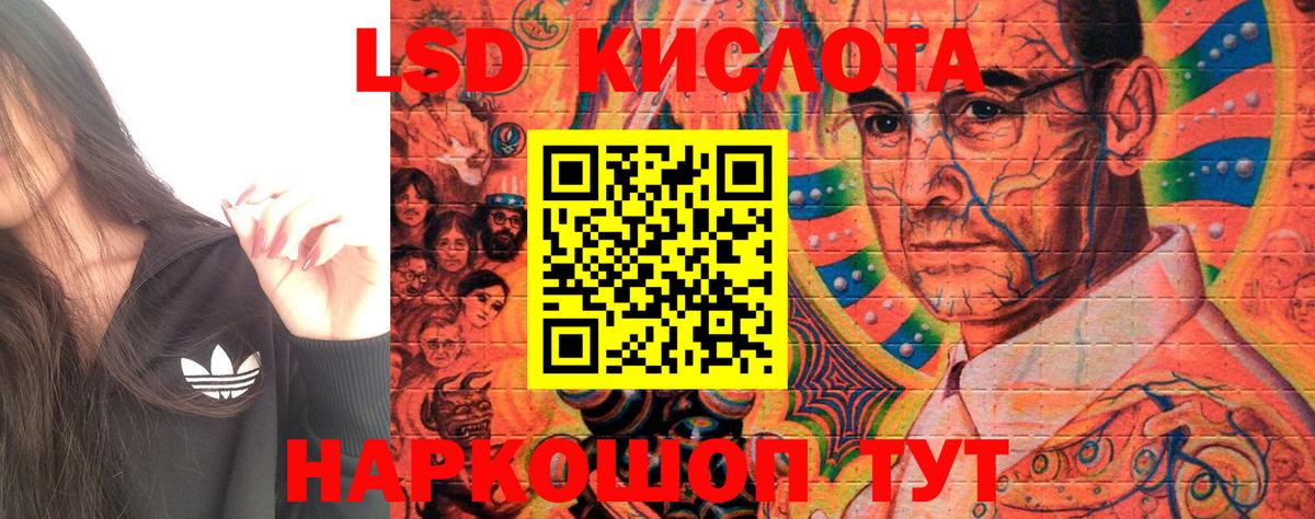 Псилоцибиновые грибы Моздок