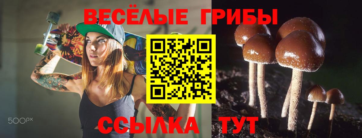 Галлюциногенные грибы ЛСД  Псилоцибиновые грибы GOLDEN TEACHER  Вход с VPN  Моздок 